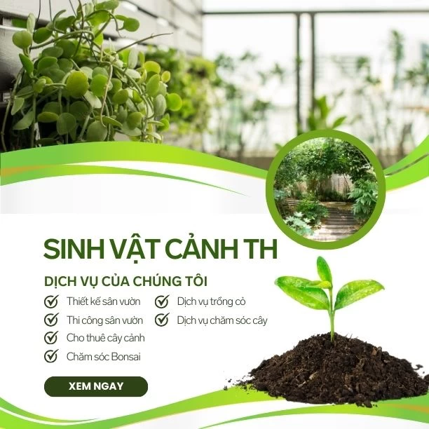 Sinh Vật Cảnh