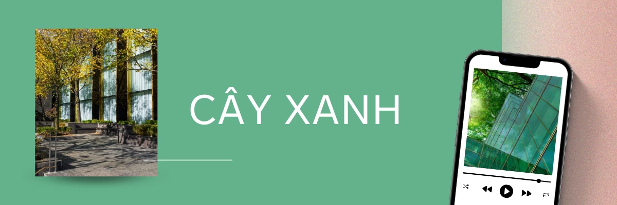 Cây Xanh Và Hoa Lá | Sinh Vật Cảnh